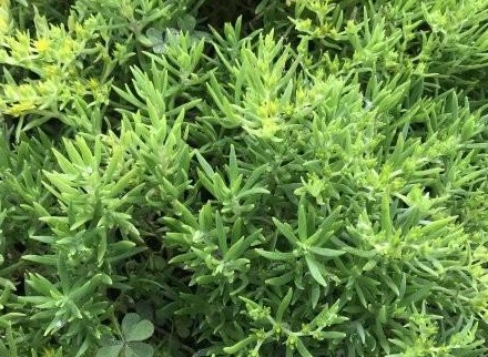 1627949658392982.jpg image.jpg