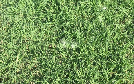 1627958022906508.jpg image.jpg