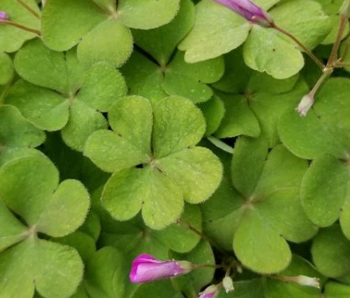 1628073060603134.jpg image.jpg