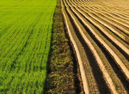 1628084700218903.jpg image.jpg