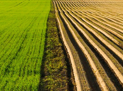 1628088297694987.jpg image.jpg