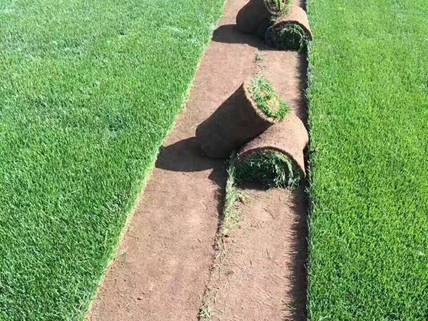 1628240470117436.jpg image.jpg