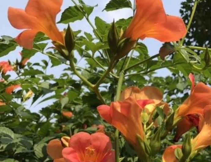 1628254227303331.jpg 360截圖20210806204037721.jpg