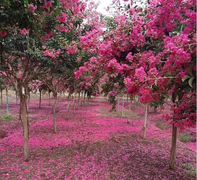 1628344957190023.jpg YT$6_$671E3C_7L3$ZJ9`[D.jpg