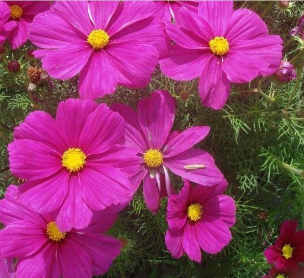 1628346507377195.jpg W{C8R}E5UNO_XJ}[6)M{NCP.jpg