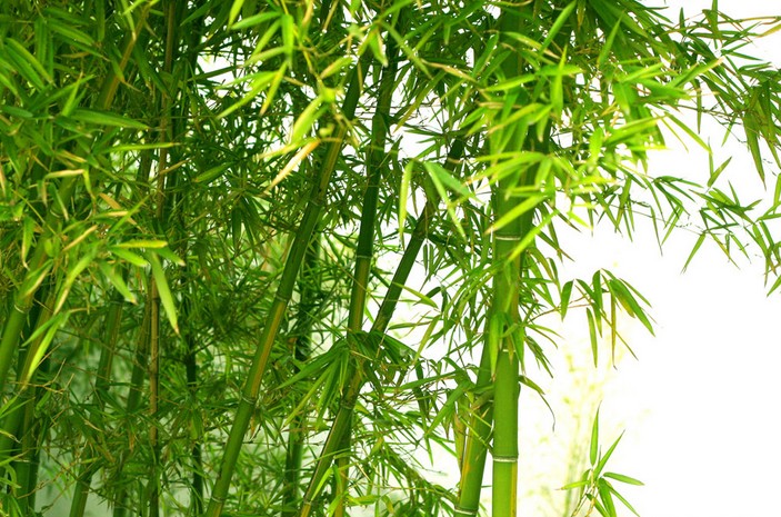 1628406469805397.jpg 1628406469805397.jpg