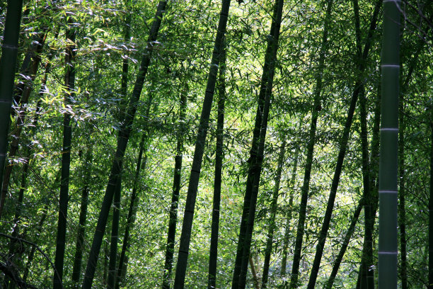 1628406501677763.jpg 1628406501677763.jpg