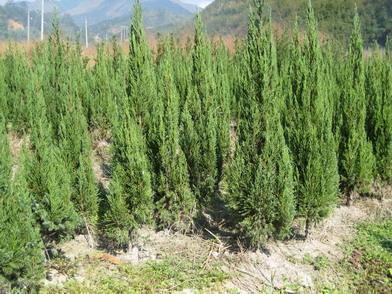 1628408652635957.jpg 1628408652635957.jpg