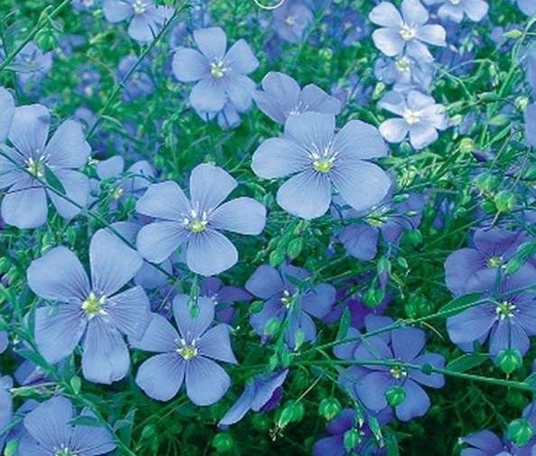 1628424064789599.jpg 1628424059(1).jpg