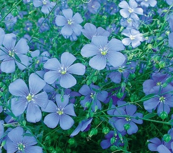 1628424104477066.jpg 1628424096(1).jpg