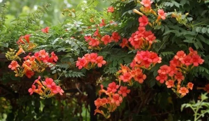 1628425704490882.jpg 1628425682(1).jpg