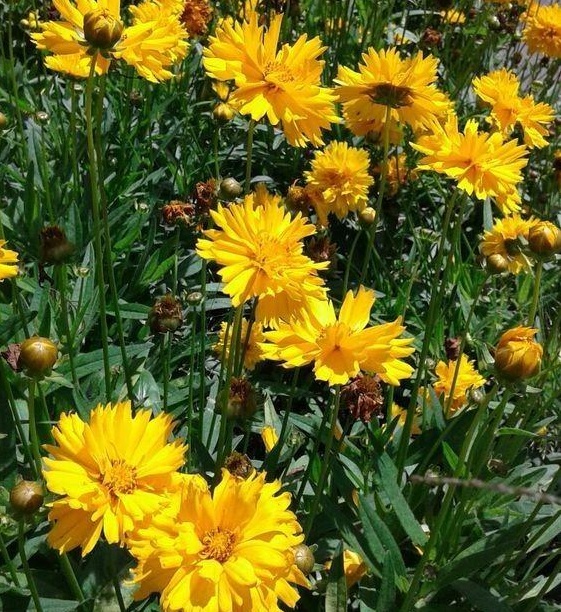 1628428586281120.jpg 1628428546(1).jpg