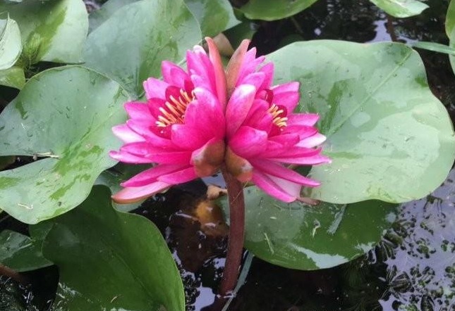 1628508392646410.jpg 1628508385(1).jpg