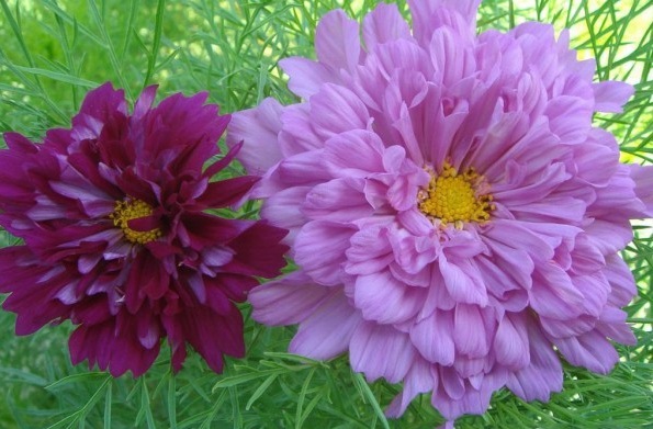 1628587388160397.jpg 1628587379(1).jpg