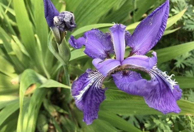 1628587496387557.jpg 1628587489(1).jpg