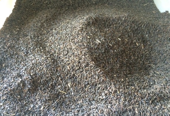 1628666852199180.jpg image.jpg