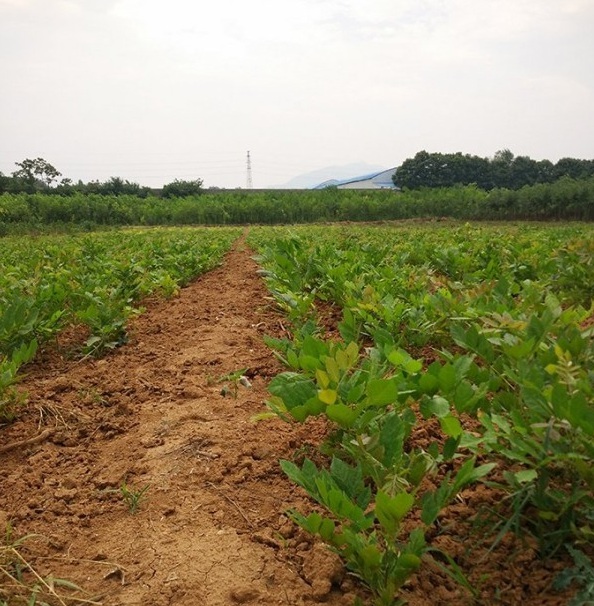 1628668914248689.jpg image.jpg