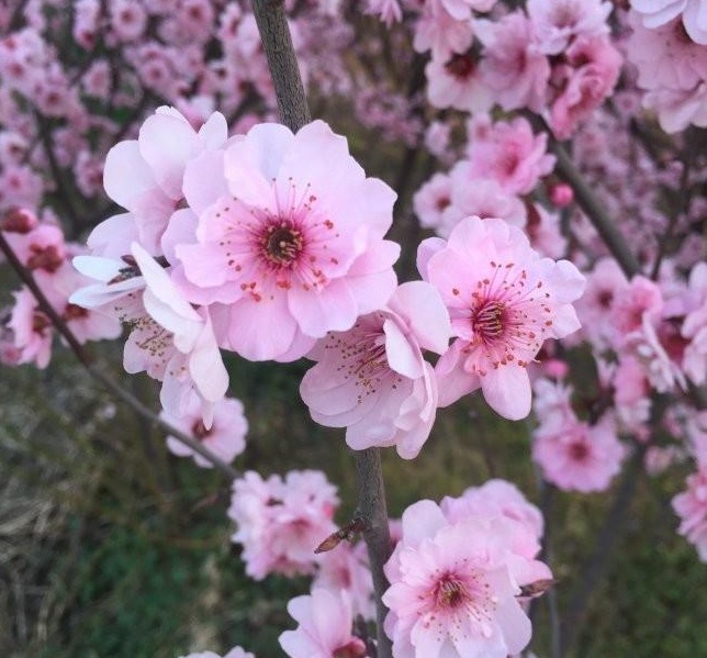 1628669271888974.jpg image.jpg