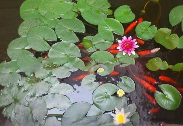 1628671692918873.jpg image.jpg