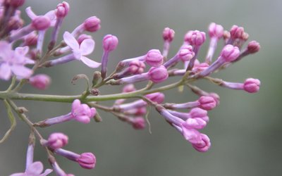 1628680039929037.jpg 1628680039929037.jpg