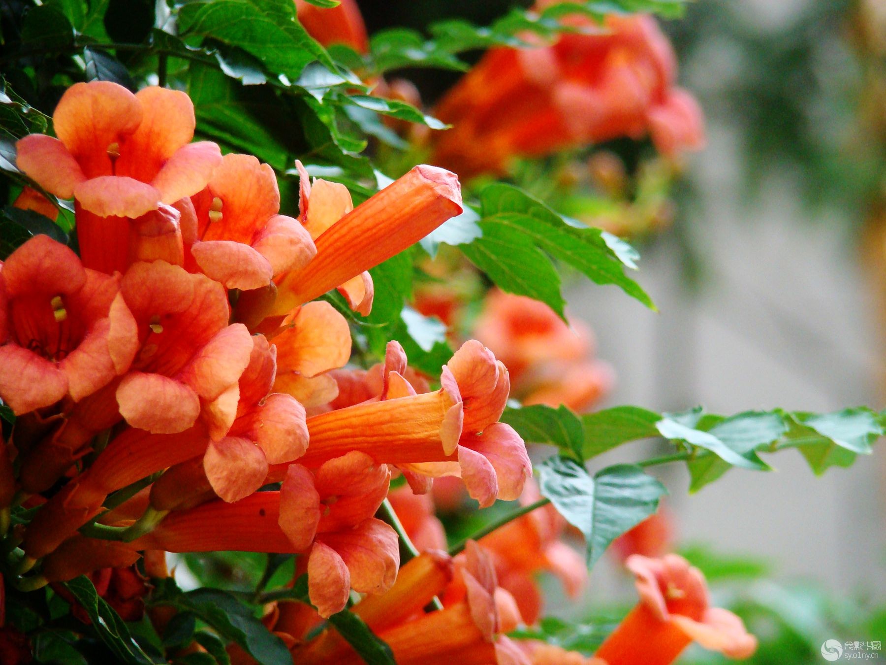 1628681547213671.jpg 1628681547213671.jpg