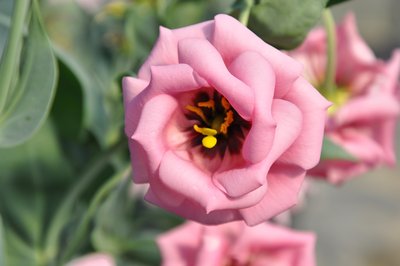 1628683835368388.jpg 1628683835368388.jpg