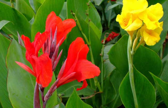 1628769042329269.jpg 1628769042329269.jpg