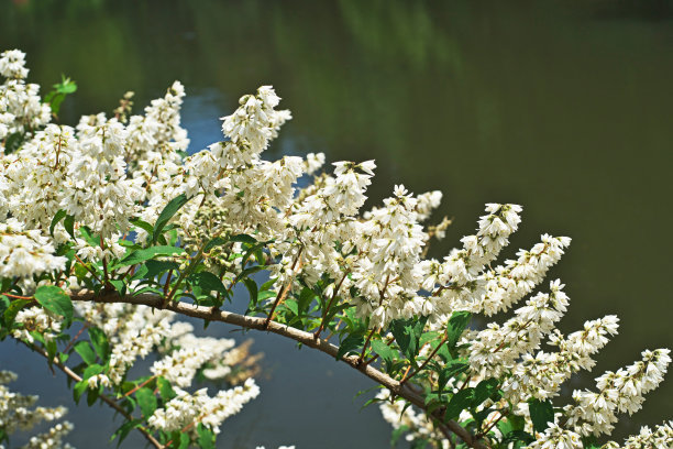 1628769229590763.jpg 1628769229590763.jpg