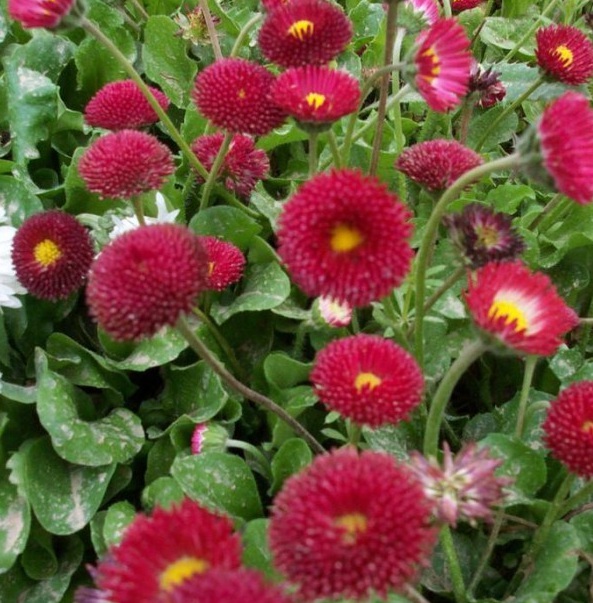 1628776994313960.jpg %Q5YJV7_OD13XYV$S4@5%L3.jpg