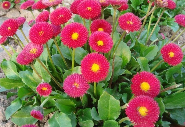 1628777003778388.jpg I$8S6CR56{8RUT5Z6KW[[RY.jpg