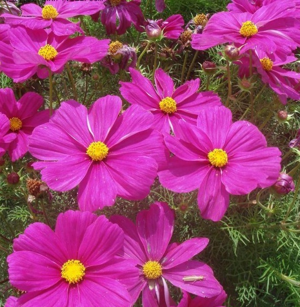 1628778898436550.jpg UWKFH6{)GD~(I2HS4YSE%V3.jpg