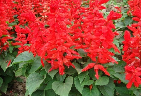 1628779753995842.jpg %4QJP{RLJW0O@MNLDV[VW%V.jpg