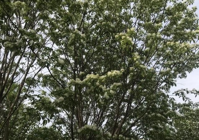 1628862347826536.jpg 1628862339(1).jpg