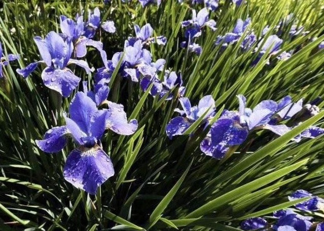 1628918194793588.jpg 1628918189(1).jpg