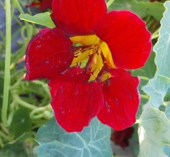 1628920334384166.jpg 1628920325(1).jpg