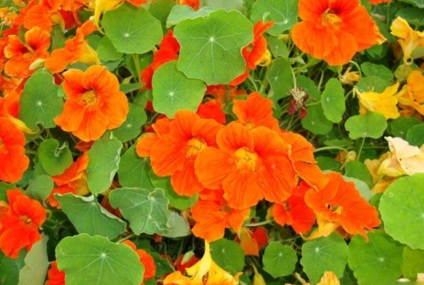 1628920366817281.jpg 1628920360(1).jpg