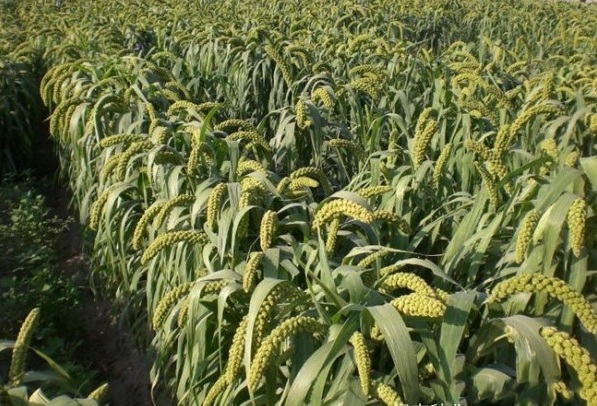 1628922587700614.jpg 1628922580(1).jpg