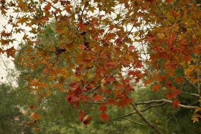 1628940021460790.jpg 1628940021460790.jpg