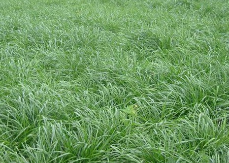 1628986100669527.jpg image.jpg