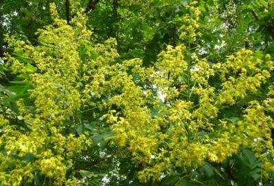 1629027090911911.jpg 1629027090911911.jpg