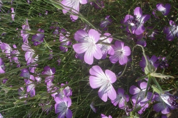 1629099746720514.jpg 1629099743(1).jpg