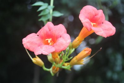 1629113231562469.jpg 1629113231562469.jpg