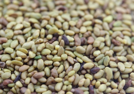 1629123462384719.jpg image.jpg