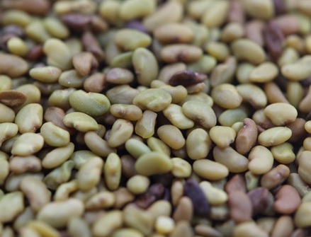 1629123470472640.jpg image.jpg