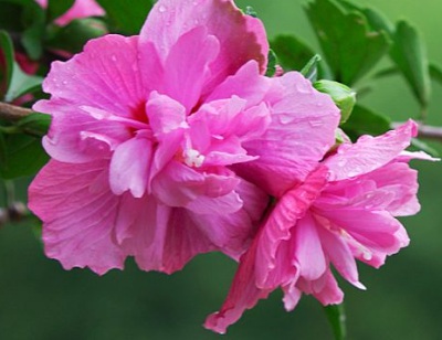 1629123628854608.jpg image.jpg