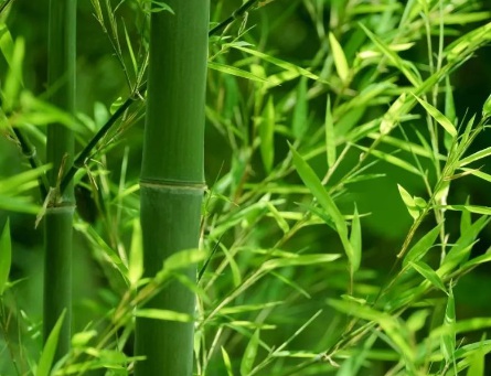 1629123706308982.jpg image.jpg