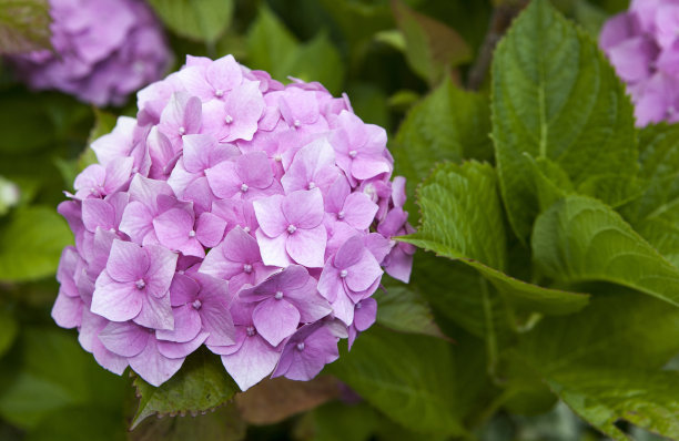 1629215373195264.jpg 1629215373195264.jpg