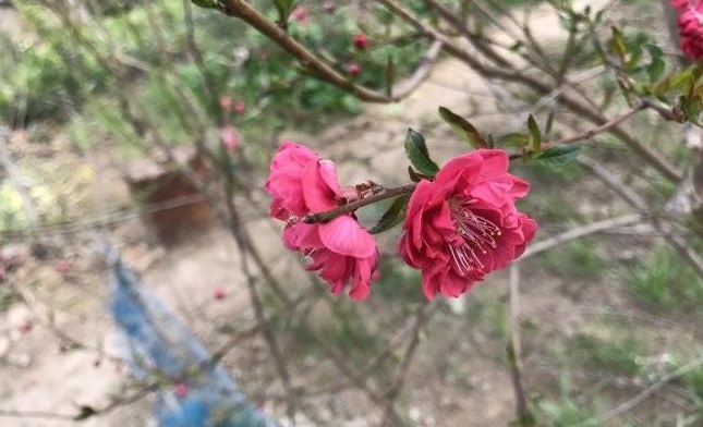 1629241176234438.jpg L4WS$9E[`K_G@V8}JE3P_YI.jpg