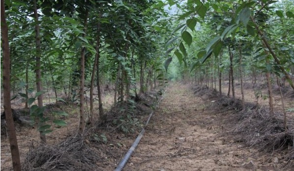 1629241555486376.jpg E[NX3Y_NYQNW292HGUEA(_S.jpg