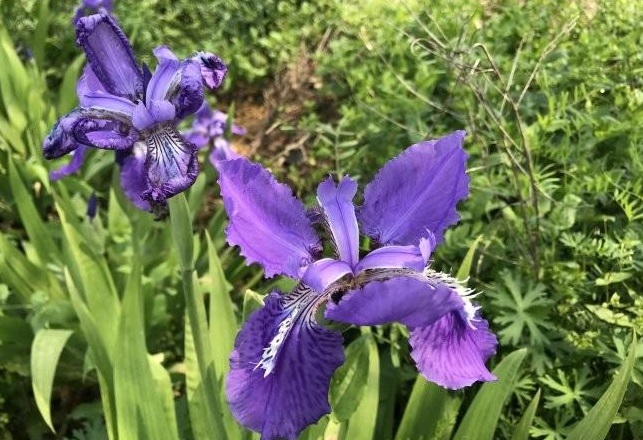 1629245310433807.jpg ML)A~EC8J$Z9CRNA(YH3DWO.jpg